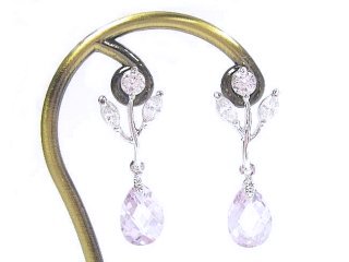 �p�[�v���@CZ�A�N�Z�T���[�@�s�A�X