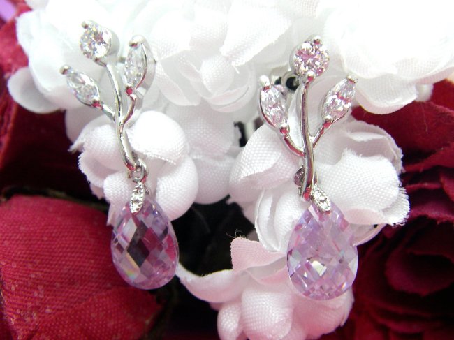 �p�[�v���@CZ�A�N�Z�T���[�@�s�A�X