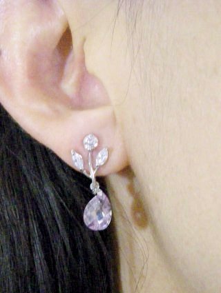 �p�[�v���@CZ�A�N�Z�T���[�@�s�A�X