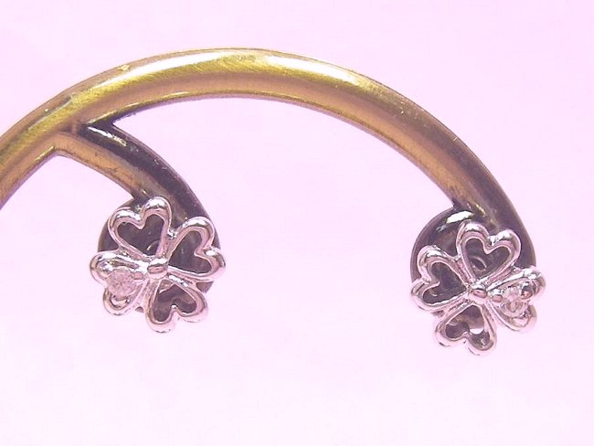 �N���[�o�[�@�s�A�X�E�A�N�Z�T���[