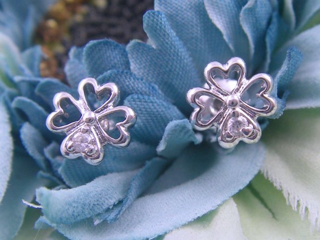 �N���[�o�[�@�s�A�X�E�A�N�Z�T���[