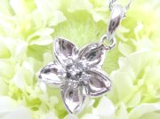 CZ�@�L���[�r�b�N�W���R�j�A�i�y���_���g�j