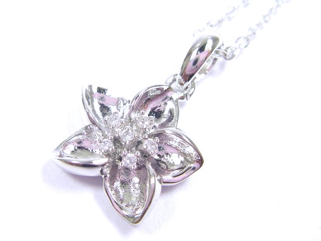 �t�����[���`�[�t�@�L���[�r�b�N�W���R�j�A�E�y���_���g�E�A�N�Z�T���[