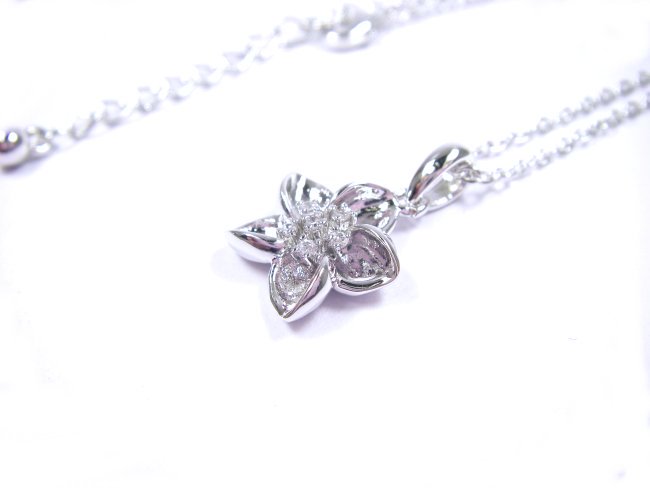 �t�����[���`�[�t�@�L���[�r�b�N�W���R�j�A�E�y���_���g�E�A�N�Z�T���[