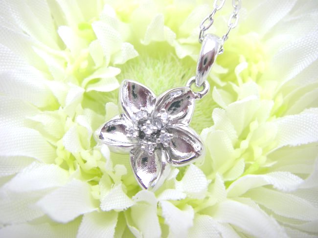 �t�����[���`�[�t�@�L���[�r�b�N�W���R�j�A�E�y���_���g�E�A�N�Z�T���[