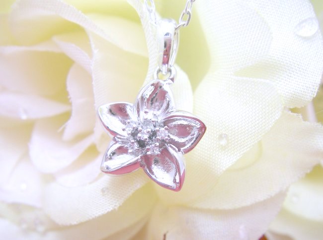 �t�����[���`�[�t�@�L���[�r�b�N�W���R�j�A�E�y���_���g�E�A�N�Z�T���[