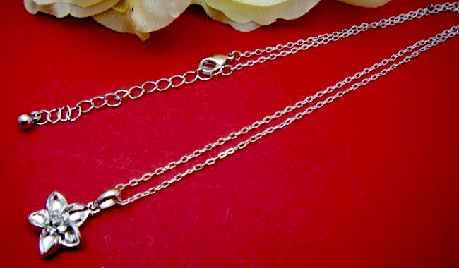 �t�����[���`�[�t�@�L���[�r�b�N�W���R�j�A�E�y���_���g�E�A�N�Z�T���[