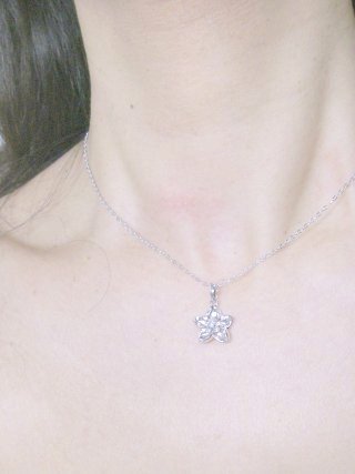 �t�����[���`�[�t�@�L���[�r�b�N�W���R�j�A�E�y���_���g�E�A�N�Z�T���[