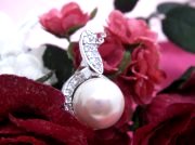 CZ�@�L���[�r�b�N�W���R�j�A�@�}�W�����J�p�[���@�y���_���g