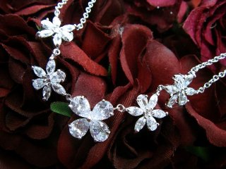 �t�����[���`�[�t�@�l�b�N���X