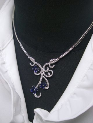 �T�t�@�C�ACZ �t�����[���`�[�t�@�l�b�N���X