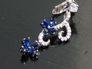 CZ�A�N�Z�T���[�@�@�C�������O�@�s�A�X