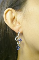 CZ�A�N�Z�T���[�@�s�A�X