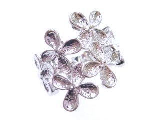 �t�����[���`�[�t�E�����O