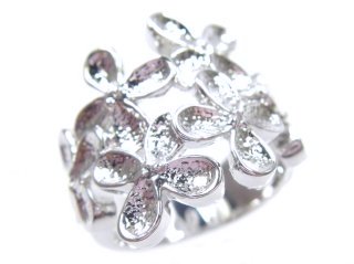 �t�����[���`�[�t�E�����O