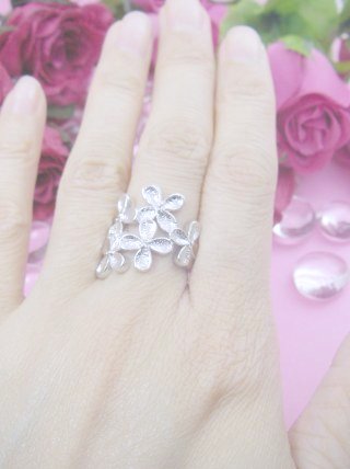 �t�����[���`�[�t�E�����O