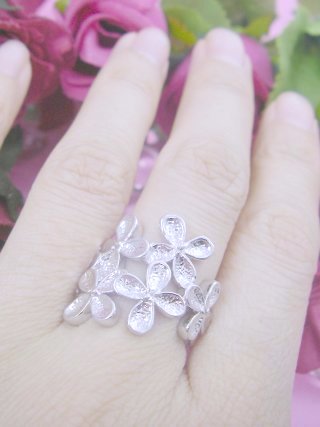 �t�����[���`�[�t�E�����O