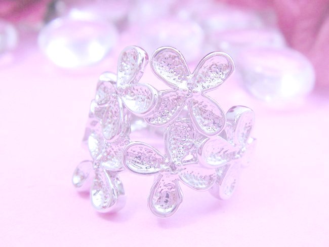 �t�����[���`�[�t�E�����O