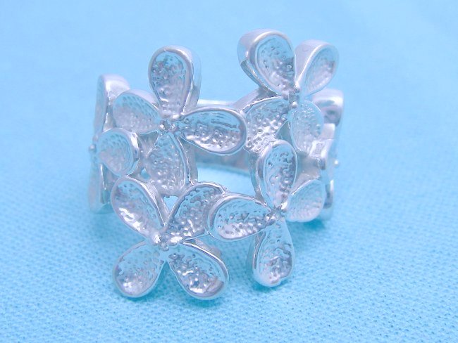 �t�����[���`�[�t�E�����O