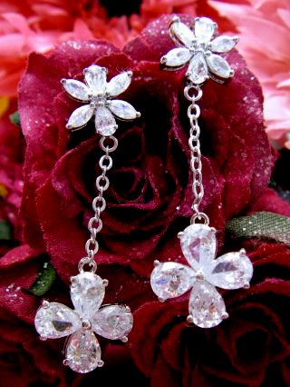 �t�����[���`�[�t�@�L���[�r�b�N�W���R�j�A�E�A�N�Z�T���[�@�C�������O�@�s�A�X