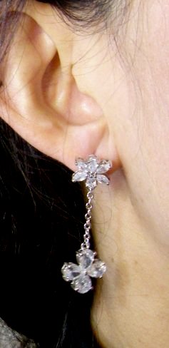 �h�C�c���@�L���[�r�b�N�W���R�j�A�̃C�������O�@�t�����[���`�[�t