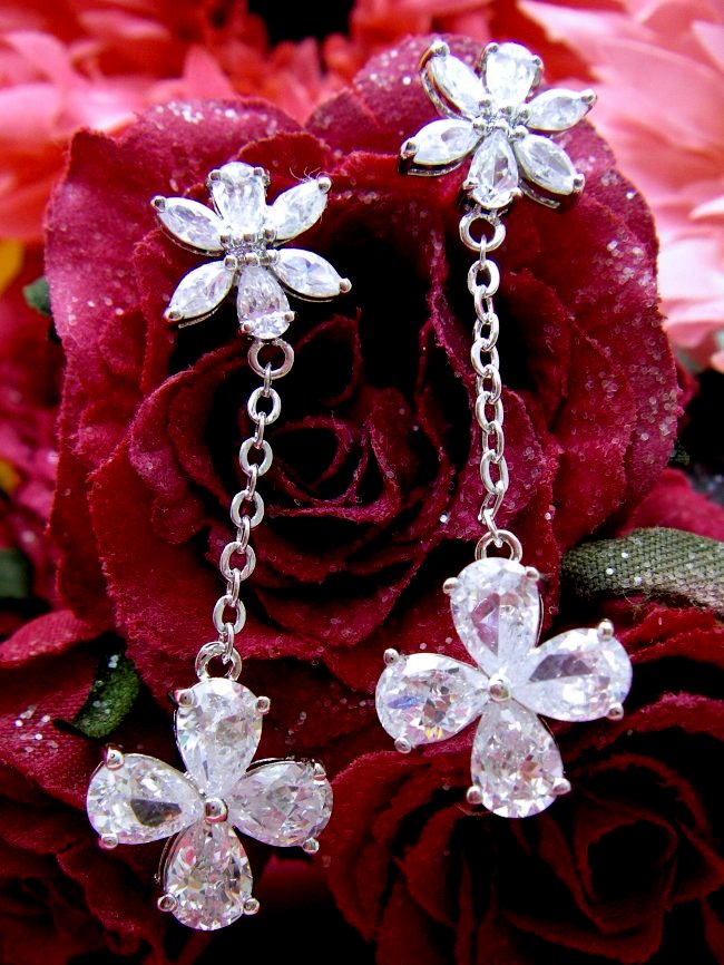 �h�C�c���@�L���[�r�b�N�W���R�j�A�̃C�������O�@�t�����[���`�[�t