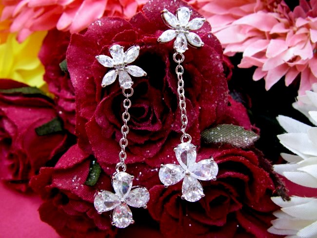 �h�C�c���@�L���[�r�b�N�W���R�j�A�̃C�������O�@�t�����[���`�[�t