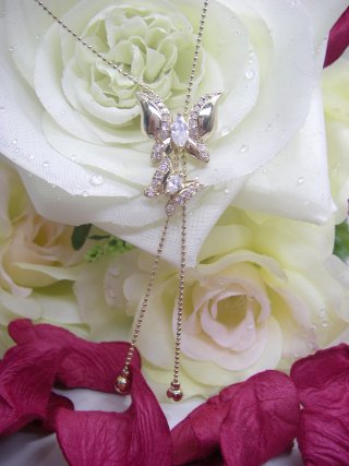 �o�^�t���C���`�[�t�@�L���[�r�b�N�W���R�j�A�E�A�N�Z�T���[�@�y���_���g�E�l�b�N���X