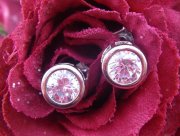 CZ�@�L���[�r�b�N�W���R�j�A�@�s�A�X