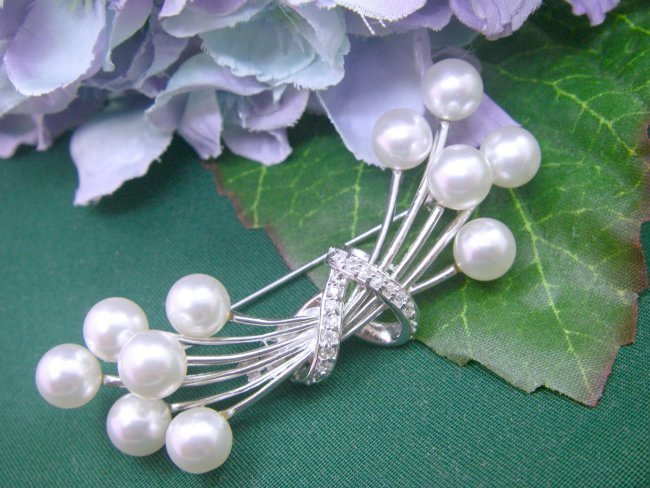 �}�W�����J�p�[���̃u���[�`