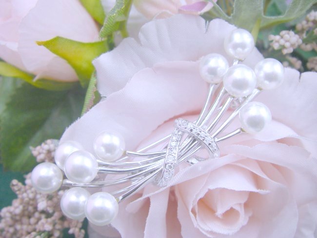 �}�W�����J�p�[���̃u���[�`