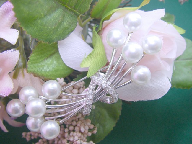 �}�W�����J�p�[���̃u���[�`