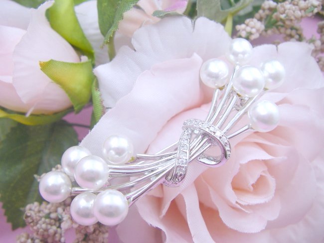 �}�W�����J�p�[���̃u���[�`