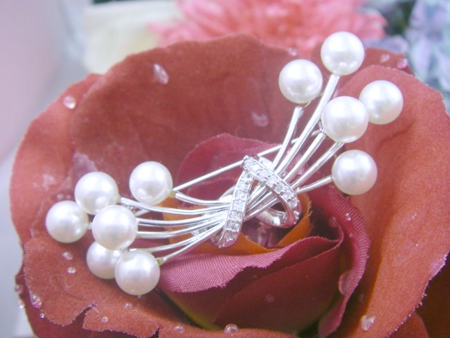 �}�W�����J�p�[���̃u���[�`