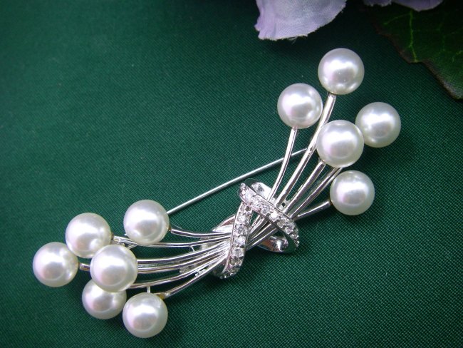 �}�W�����J�p�[���̃u���[�`