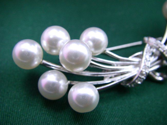 �}�W�����J�p�[���̃u���[�`