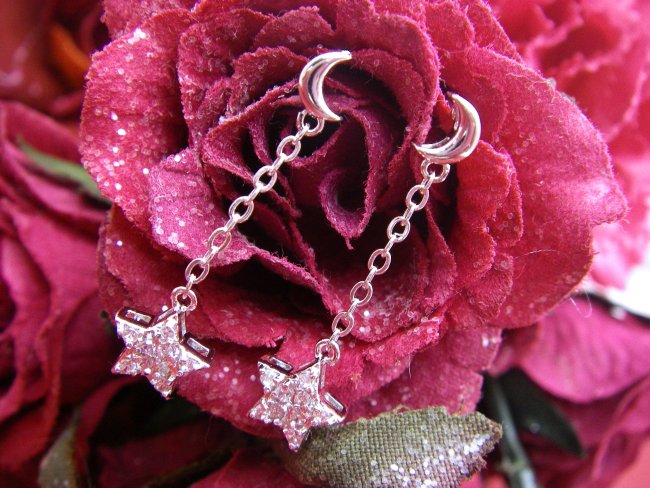 CZ�@�L���[�r�b�N�W���R�j�A�@�s�A�X�@���@��