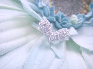 CZ�@�����O�@�n�[�g�p���F