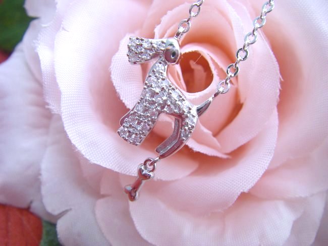 CZ�@�L���[�r�b�N�W���R�j�A�@�y���_���g�@�e���A