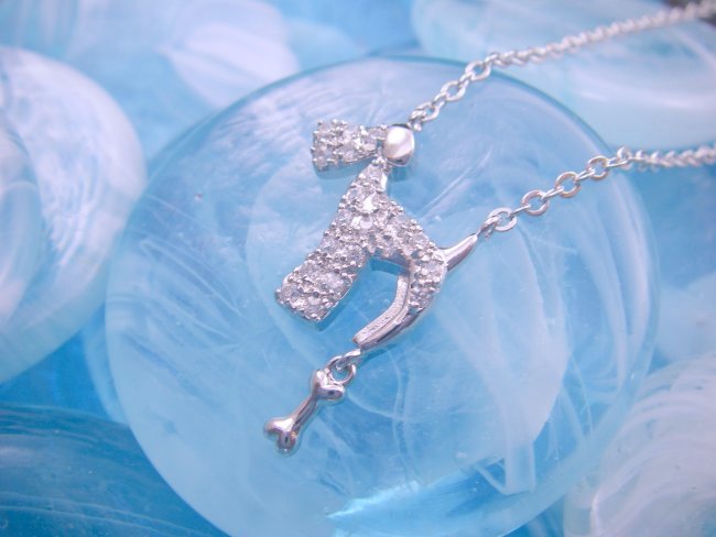 CZ�@�L���[�r�b�N�W���R�j�A�@�y���_���g�@�e���A