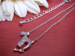 CZ�@�L���[�r�b�N�W���R�j�A�@�y���_���g�@�e���A