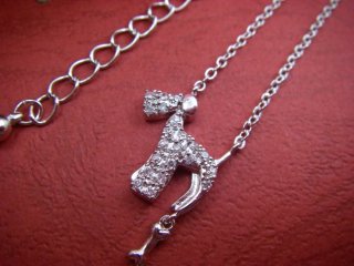 CZ�@�L���[�r�b�N�W���R�j�A�@�y���_���g�@�e���A