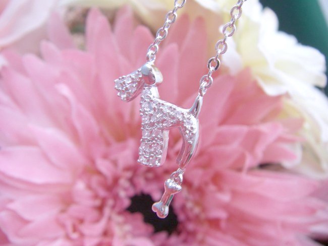 CZ�@�L���[�r�b�N�W���R�j�A�@�y���_���g�@�e���A