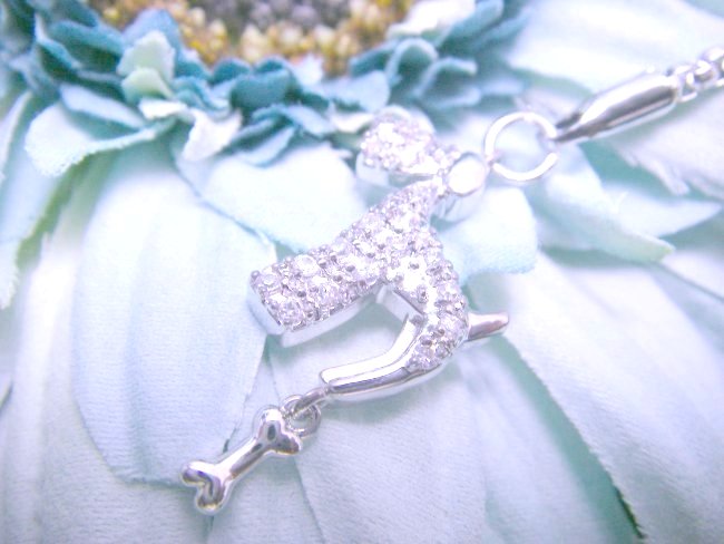 �e���A���`�[�t�@�e�����`�[�t�@�L���[�r�b�N�W���R�j�A�̌g�уX�g���b�v