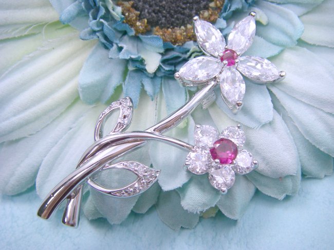 �L���[�r�b�N�W���R�j�A�@�A�N�Z�T���[�@�u���[�`�@�t�����[���`�[�t