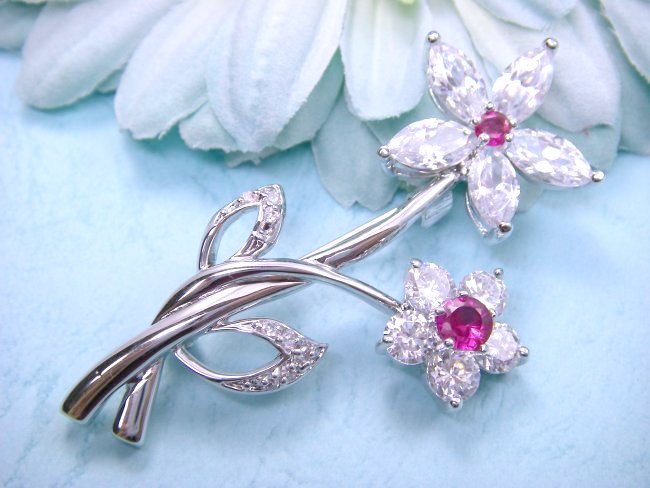 �L���[�r�b�N�W���R�j�A�@�A�N�Z�T���[�@�u���[�`�@�t�����[���`�[�t