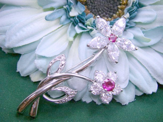 �L���[�r�b�N�W���R�j�A�@�A�N�Z�T���[�@�u���[�`�@�t�����[���`�[�t