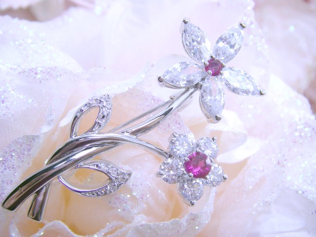 �L���[�r�b�N�W���R�j�A�@�A�N�Z�T���[�@�u���[�`�@�t�����[���`�[�t