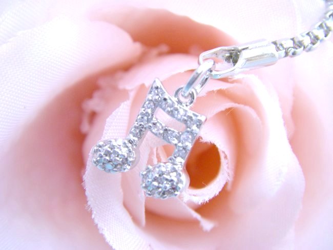 �L���[�r�b�N�W���R�j�A�̌g�уX�g���b�v�@����