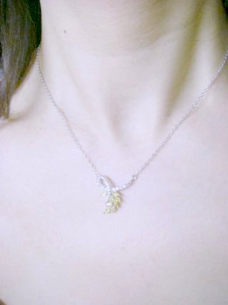 �L���[�r�b�N�W���R�j�A�@�y���_���g